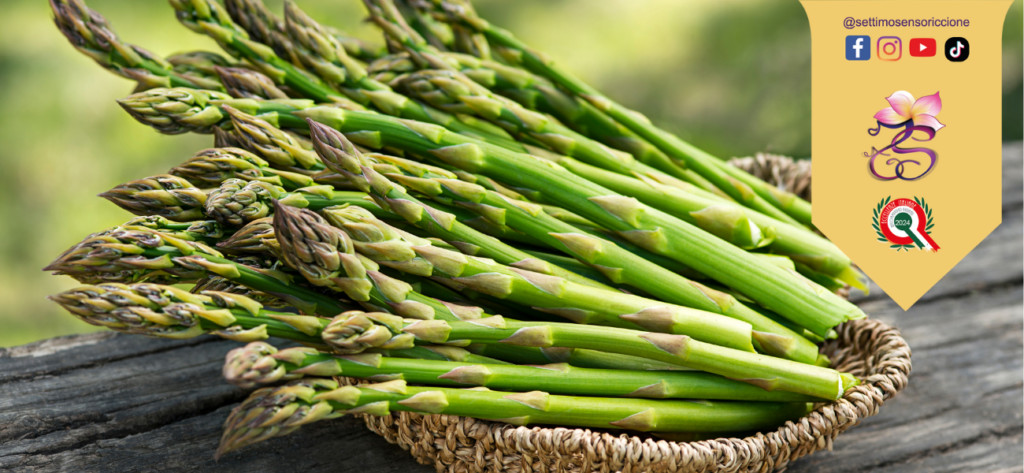 alimentazione drenante asparagi metodo Settimo Senso Riccione