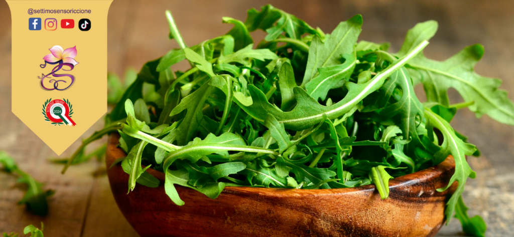 alimentazione drenante rucola metodo Settimo Senso Riccione