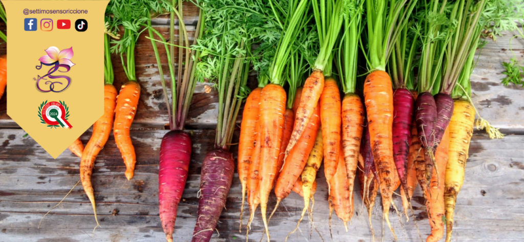 carote alimentazione disintossicante settimo senso riccione